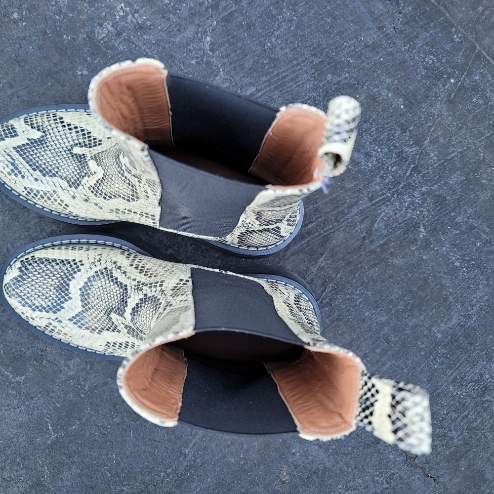 Paris Texas Desert Ivory Python Print Leather Che… - image 3